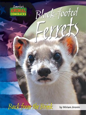 cover image of Black-footed Ferrets